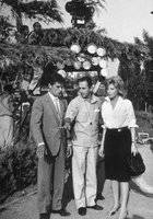 Моника Витти