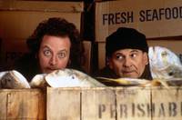 Кадр Один дома 2: Затерянный в Нью-Йорке