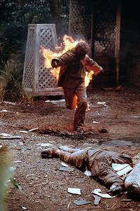 Кадр Остров доктора Моро