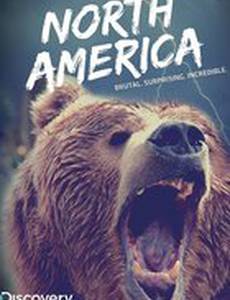 Discovery: Северная Америка