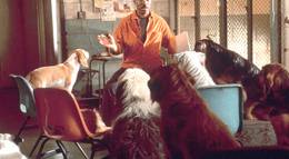 Кадр из фильма "Доктор Дулиттл 2" - 1