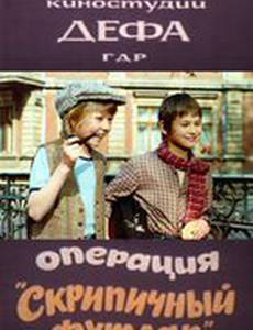 Операция «Скрипичный футляр»