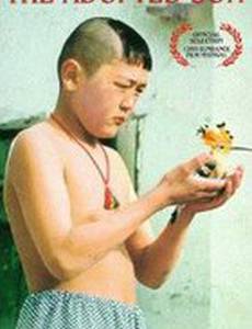 Приемный сын