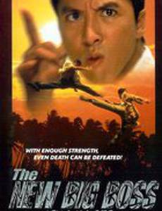 Большой босс 2