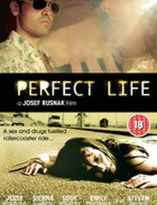 Идеальная жизнь