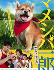 Ичиро и Сиба Дзиро