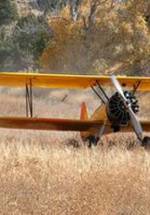 Брэд Джесси фото