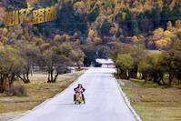 Кадр Лучшие друзья