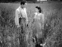 Кадр Путь вниз на восток