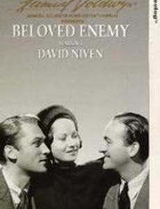 Любимый враг