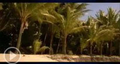 Вступительные титры