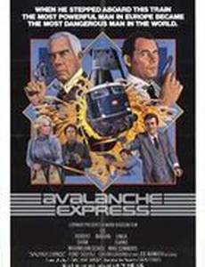 Экспресс-лавина