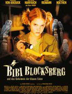 Биби – маленькая волшебница и тайна ночных птиц