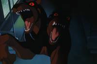 Кадр Синдзюку – город-ад (видео)