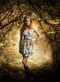 Постер Прекрасные создания