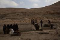 Кадр Королева пустыни