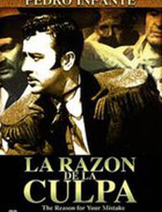 La razón de la culpa