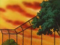 Кадр Вперед! Школьная секция пинг-понга