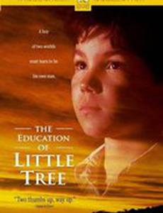 Приключения маленького индейца