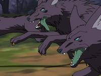 Кадр 12 королевств