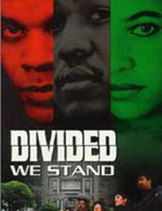 Divided We Stand