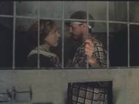 Кадр Год Собаки