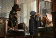 Кадр Полицейский пес 