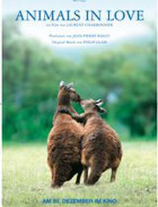 Влюбленные животные