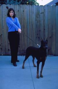 Кадр К-911 (видео)