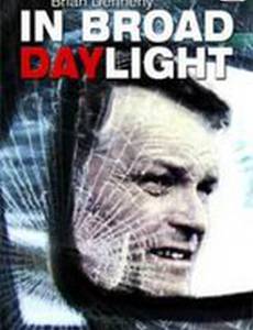 В озере дневного света