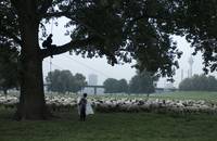 Кадр Съемки в Палермо