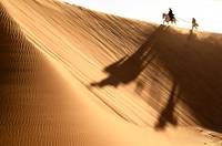 Кадр Одинокий рейнджер