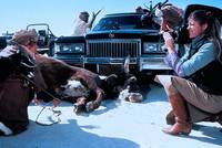 Кадр Неправый прав