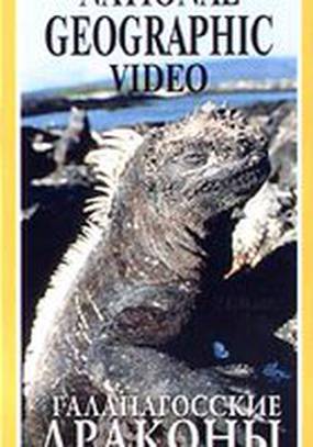 Галапагосские драконы