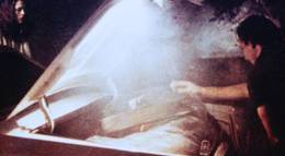 Кадр из фильма "Жар тела" - 2