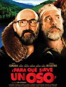 Для чего служит медведь?