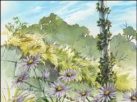 Кадр Дневник поездки в Иокогаму за покупками (видео)