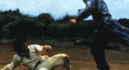 Кадр из фильма "Немного кунг-фу" - 1