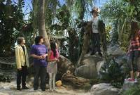 Кадр Всё тип-топ, или Жизнь на палубе