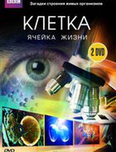 BBC: Клетка