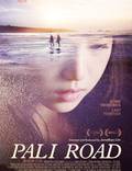 Постер из фильма "Дорога на Пали" - 1