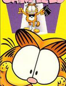 А вот и Гарфилд