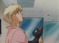 Кадр Красавица-воин Сейлор Мун Эс