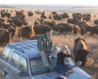 Кадр К чуду