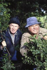 Кадр Собачья охранная система дома