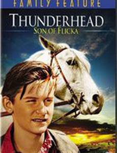 Грозовая туча – сын Флики