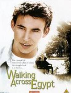 Прогулка по Египту