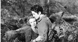 Кадр из фильма "Розинна МакКой" - 2