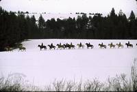 Кадр Перевал Брейкхарт