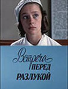 Встреча перед разлукой